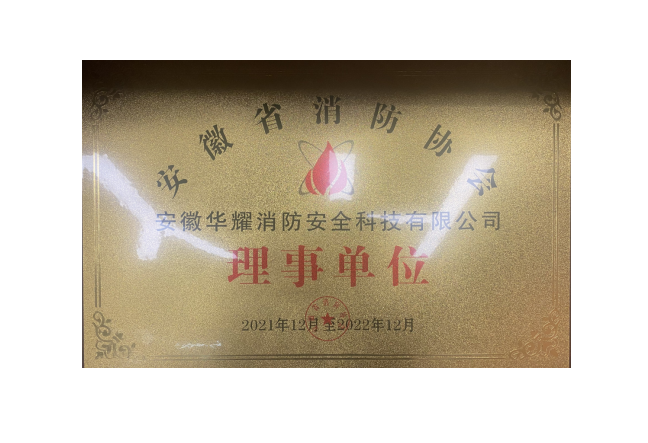 安徽省消防消防协会理事单位